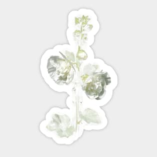 Hollyhock Mallow Sticker